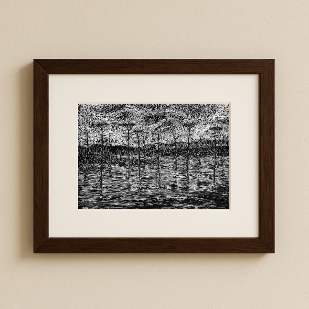 Heron Rookery, Lubberland Preserve, NH