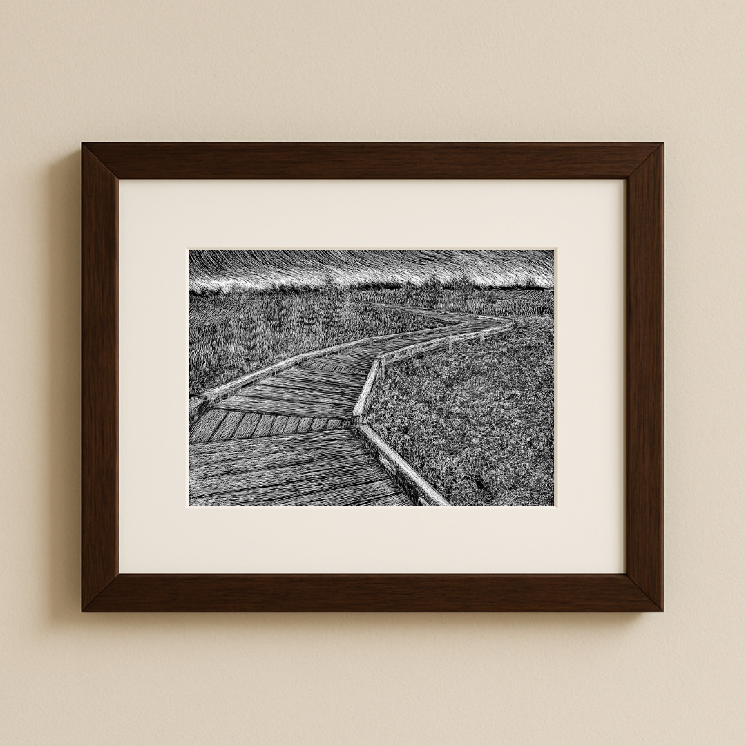 Orono Bog Walk, Maine